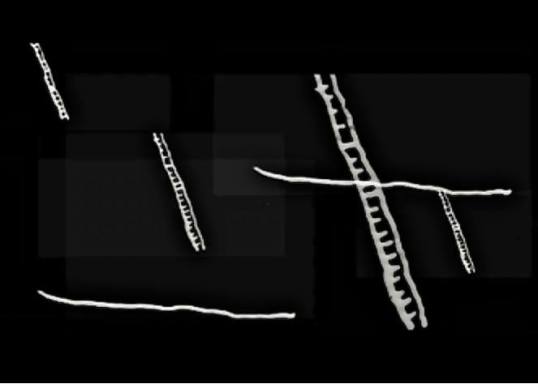 A frame print of Crossing Victoria, by Steven Woloshen.