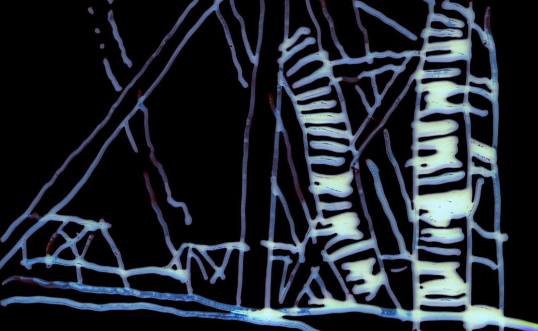 A frame print of Crossing Victoria, by Steven Woloshen, that got a CFI Honourable Mention.