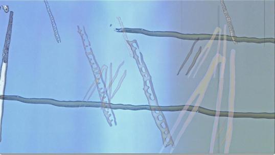 Crossing Victoria, de Steven Woloshen